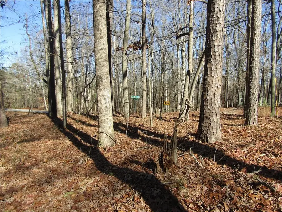 0000 Fence Road, Dacula, GA 30019 - Image #2