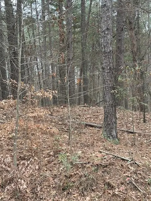 0 Cole Lake Road, Dallas, GA 30157 - #2