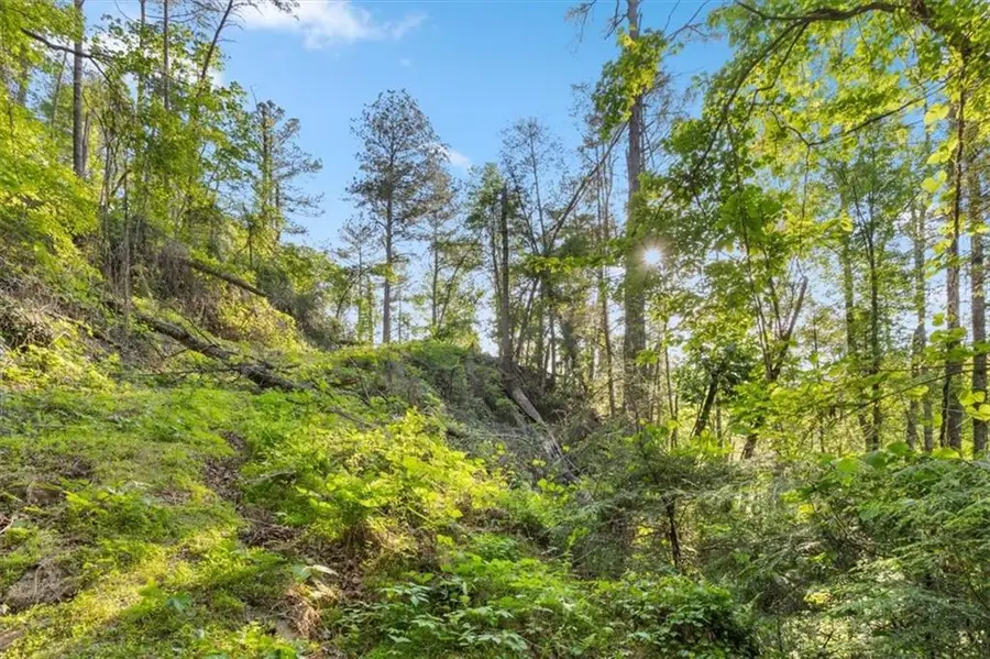 121 Chastain Court, Marble Hill, GA 30148 - #2