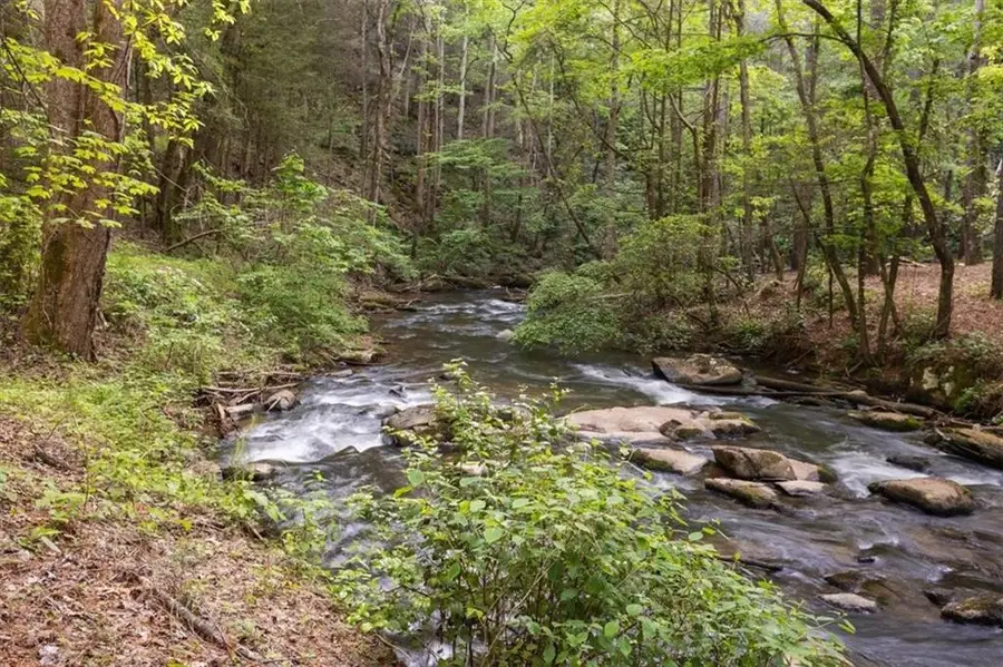 121 Chastain Court, Marble Hill, GA 30148 - #3