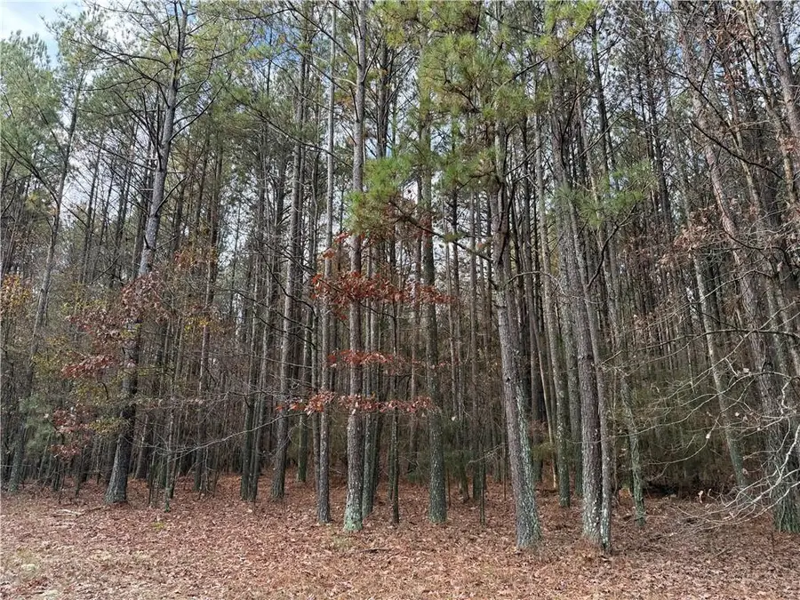 0 Branson Crossing Road, Kingston, GA 30145 - Image #3