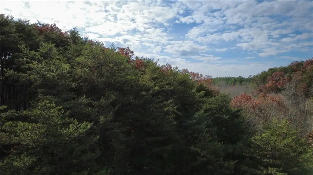 Tract 30 Deerfield Estates, Fairmount, GA 30139 - Image #1