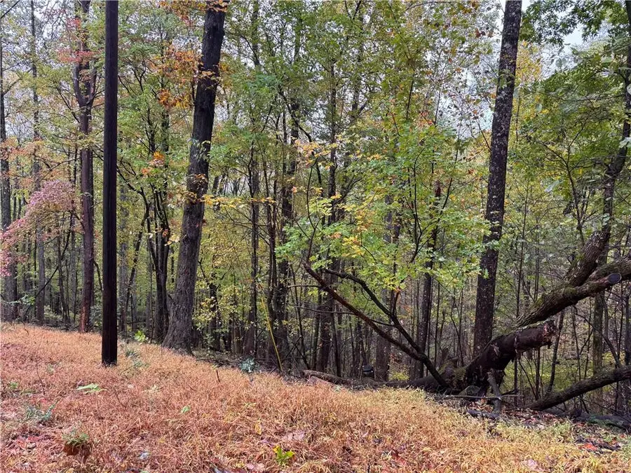 0 Mountain Oak Road, Ellijay, GA 30536 - Image #3