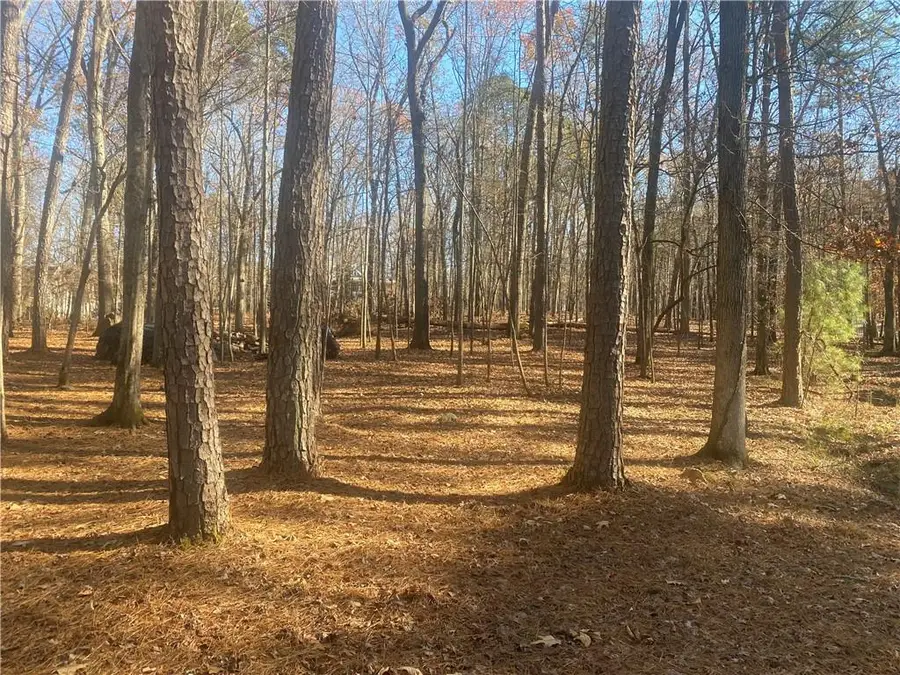 3353 Galts Road, Acworth, GA 30102 - #2