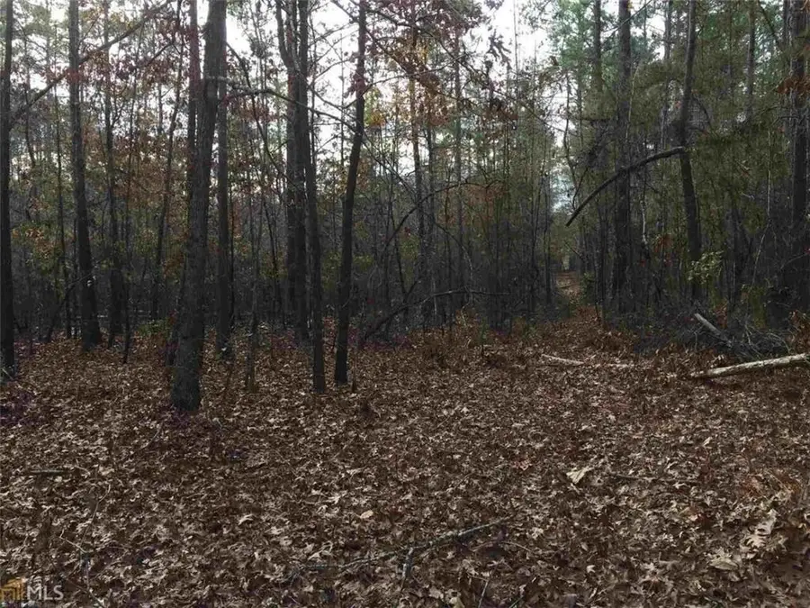 393 Stallsworth Road, McDonough, GA 30252 - Image #3