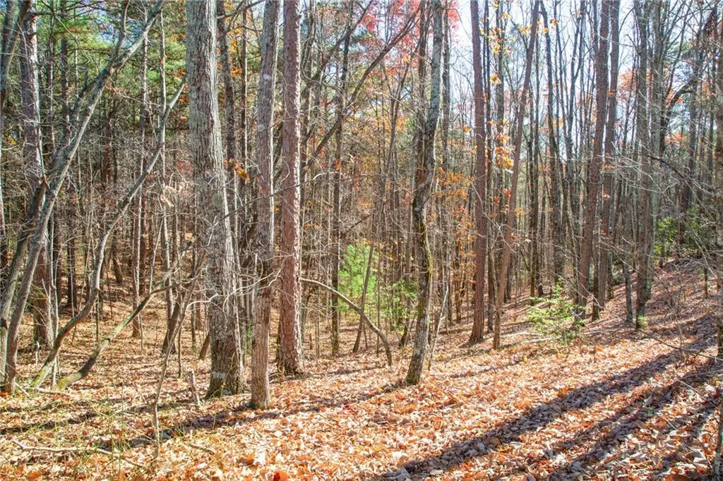 119 Waldrip Drive, South Gilmer, GA 30536 - Image #1