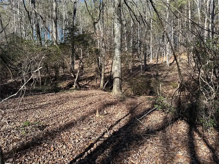 125 Patriot View Dr., Dahlonega, GA 30533 - Image #3