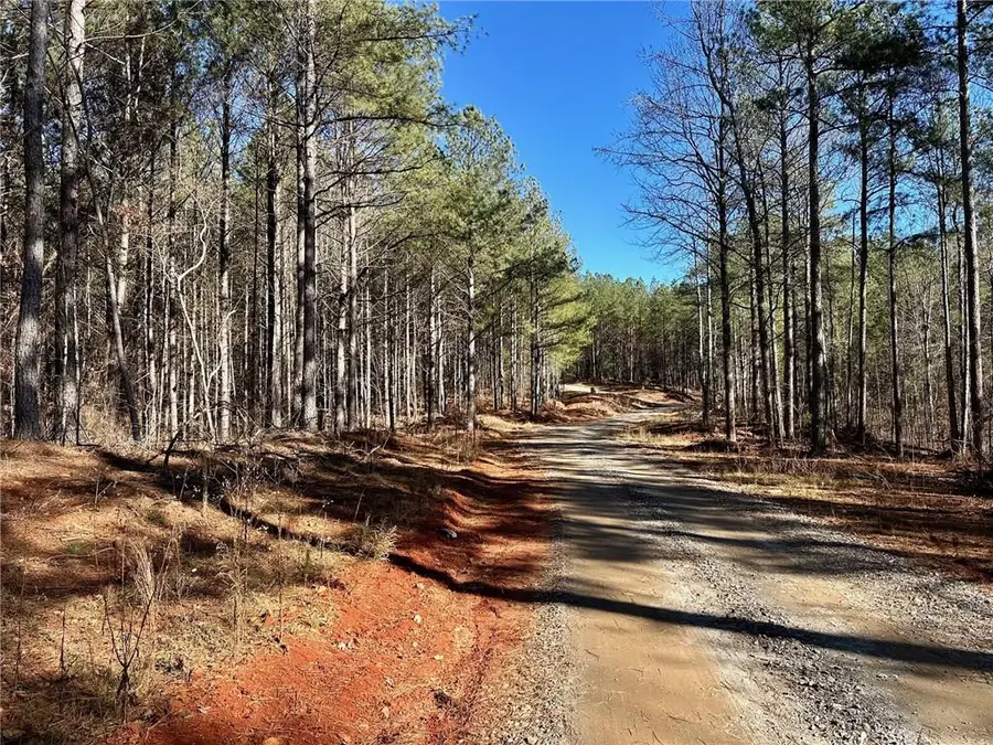 1107 Larmon Forks Road, Dahlonega, GA 30533 - #2