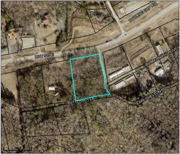 0 Butternut Lane, Blairsville, GA 30512 - Image #1