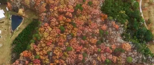 0 Bailey Circle, Loganville, GA 30052