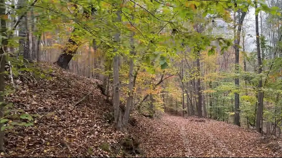 0 Super Deluxe Road, Rockmart, GA 30153 - Image #2