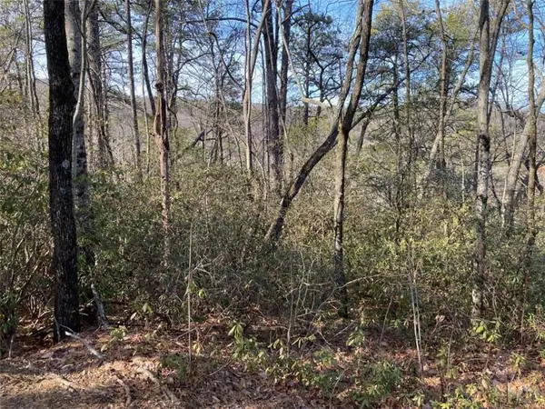 LOT 37 Whispering Dale Drive, Clarkesville, GA 30523