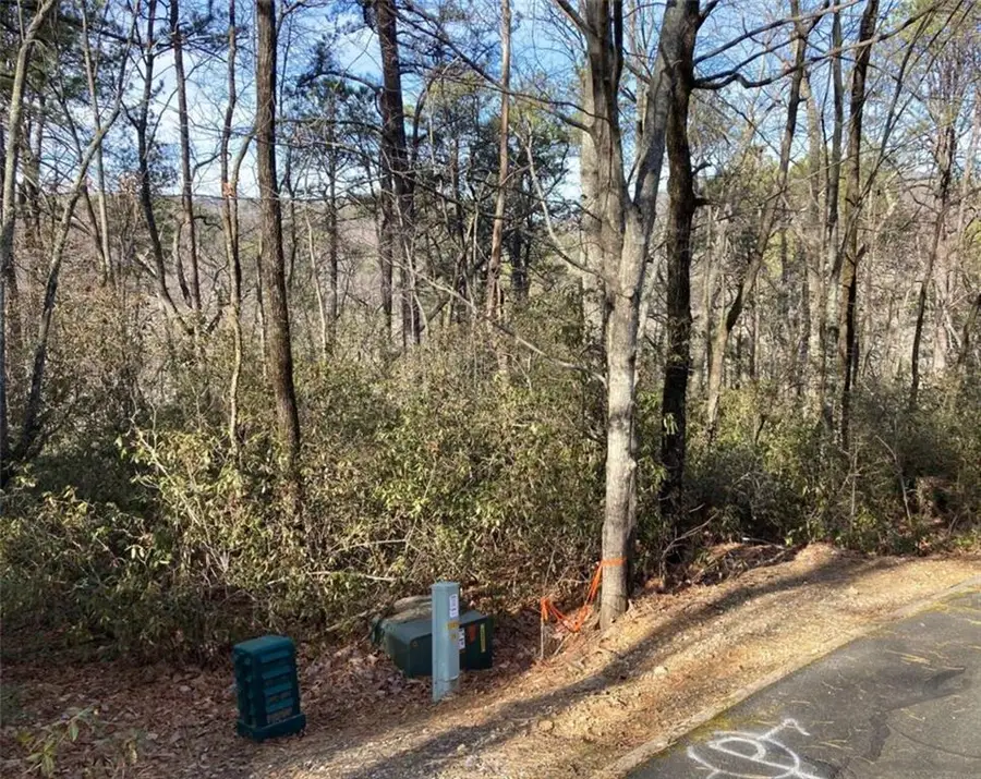 LOT 37 Whispering Dale Drive, Clarkesville, GA 30523 - #3