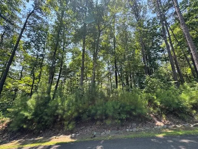 0 Carters View, Ellijay, GA 30540 - #2