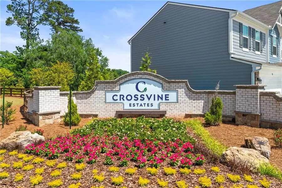 61 Cava Terrace, Braselton, GA 30517 - Image #2