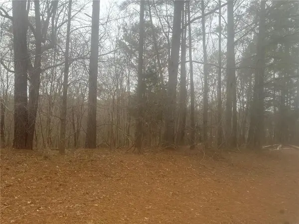 5221 Sandy Shores Court, Atlanta, GA 30038