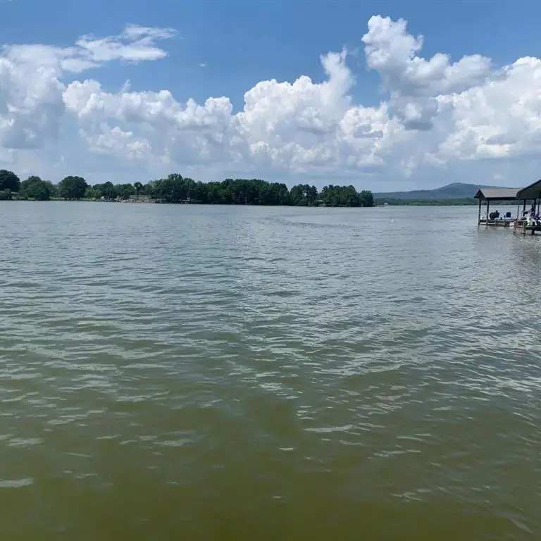 345 Cr 1036, Cedar Bluff, AL 35959 - Image #3