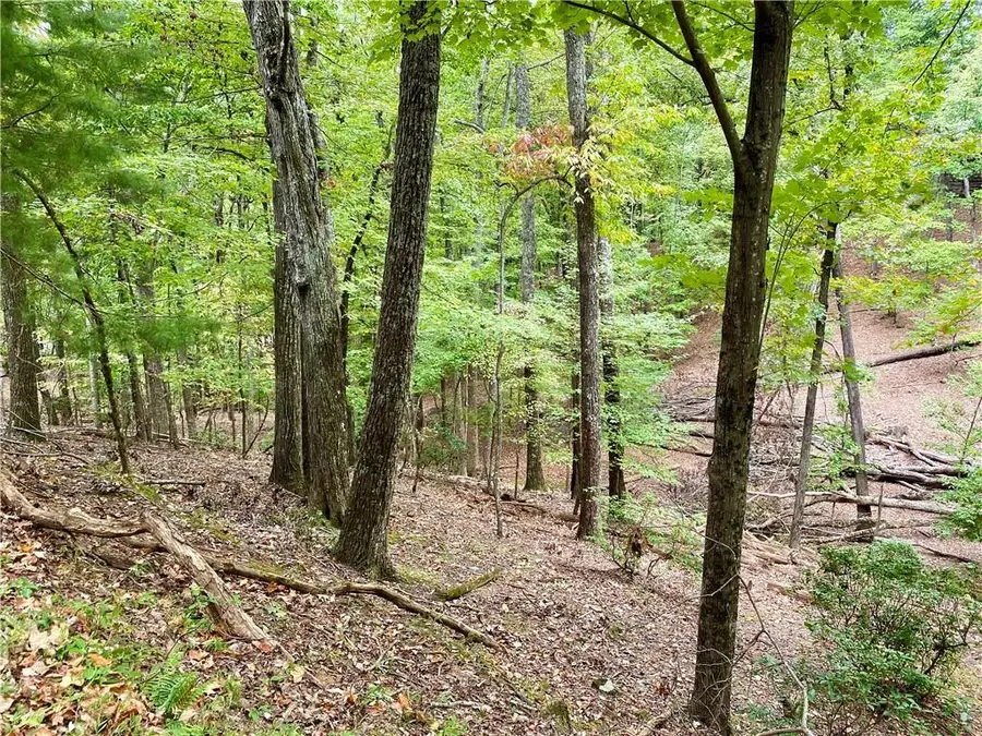 327 Grouse Gap Drive, Jasper, GA 30143 - Image #3