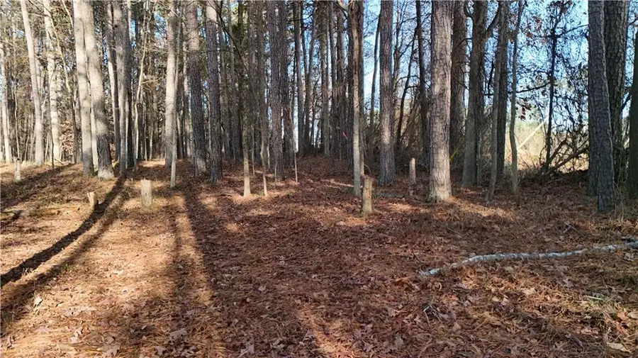 5989 SE Groovers Landing Road Se, Acworth, GA 30102 - Image #2