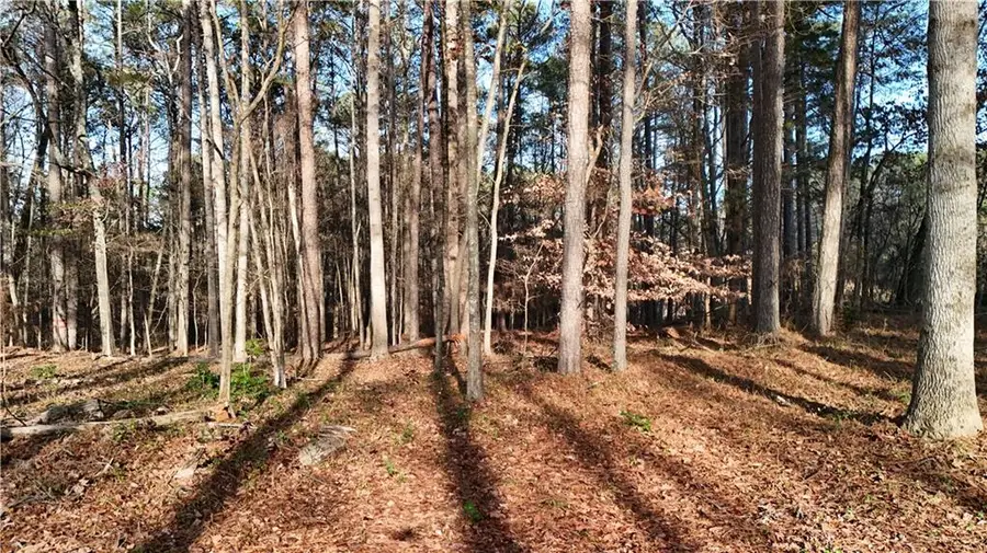 5989 SE Groovers Landing Road Se, Acworth, GA 30102 - Image #3