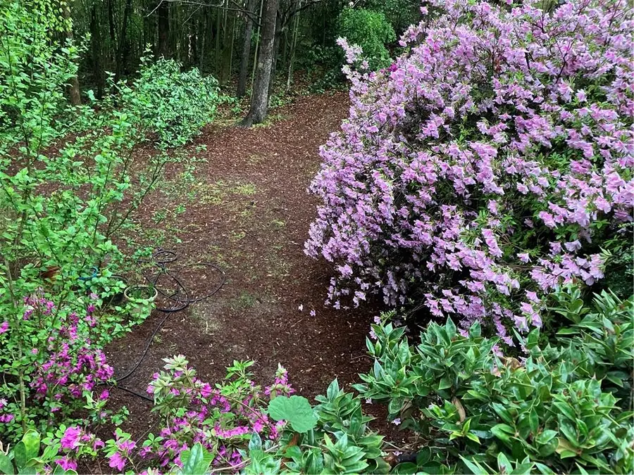 37 Plantation Drive Ne, Atlanta, GA 30324 - #3