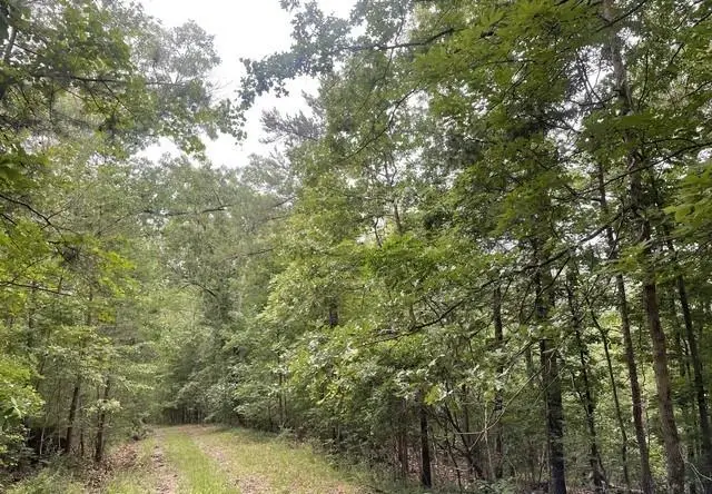 933 Apex Court, Ranger, GA 30734 - #1