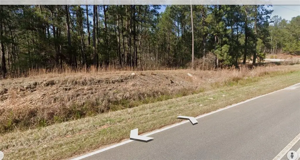 1828 Dixon Road, Roberta, GA 31078 - #1
