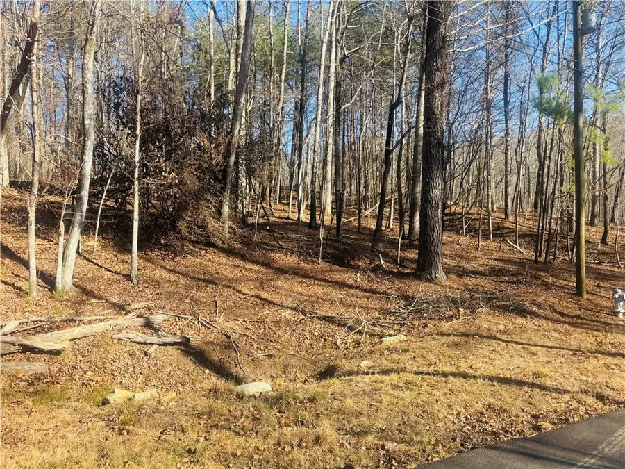 111 Fox Oak Court, Waleska, GA 30183 - #2