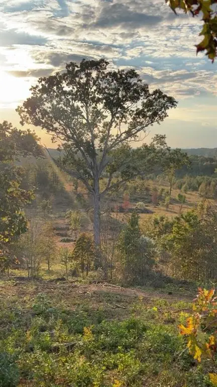 1590 Buttermilk Road Sw, Cave Spring, GA 30124 - Image #1