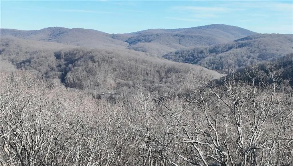 275 Andes Ridge, Ellijay, GA 30536 - #1