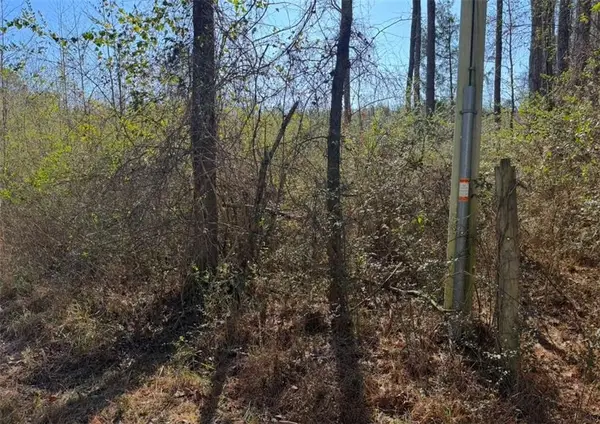 0 Norton Road, Kingston, GA 30145