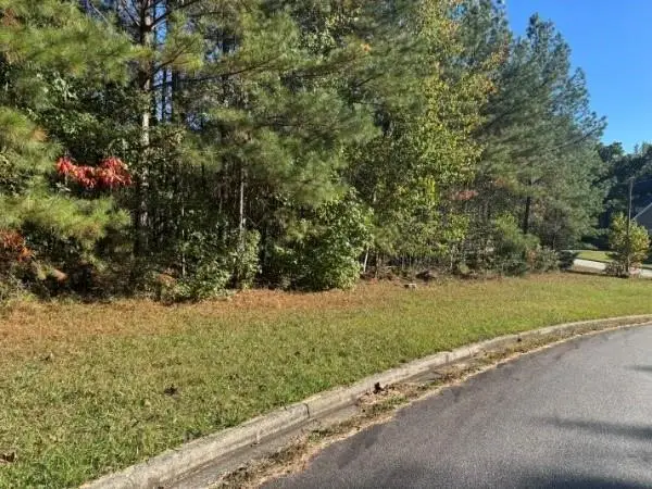 4020 Gold Springs Pass, Villa Rica, GA 30180 - Image #2