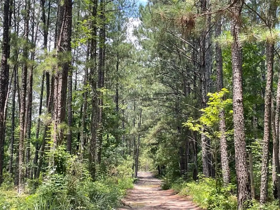 0 Frontier Drive, Conyers, GA 30012 - Image #3