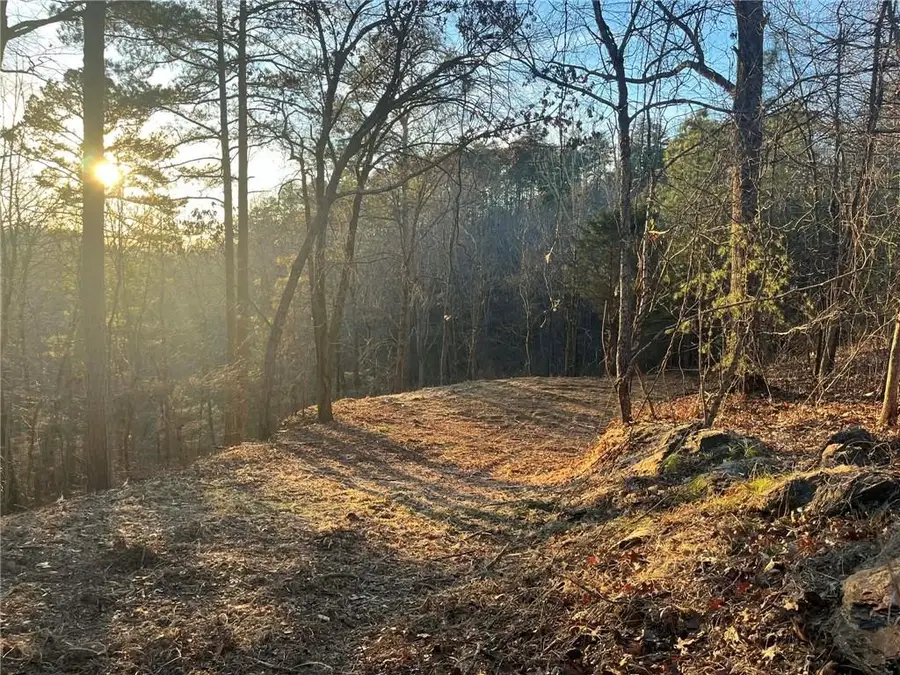 331 Paladin Drive Ne, Ranger, GA 30734 - Image #3