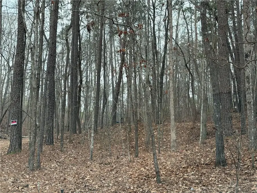 465 Old Fincher Court, Canton, GA 30114 - Image #2