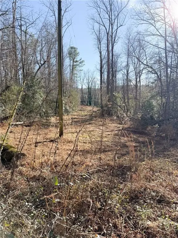 0 Highway 19 N N, Dahlonega, GA 30533 - #2