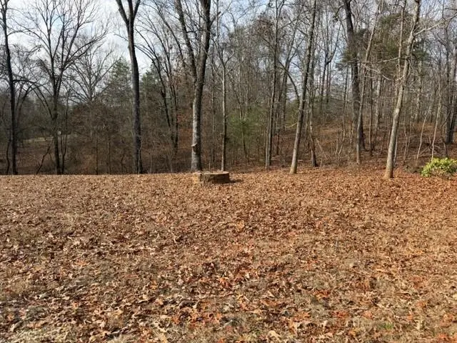 124 Cimmaron Drive, Murrayville, GA 30564 - Image #3