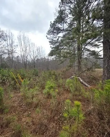 5534 Steadman Road, Tallapoosa, GA 30176 - #1