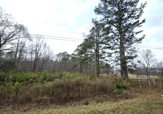 5534 Steadman Road, Tallapoosa, GA 30176 - #2