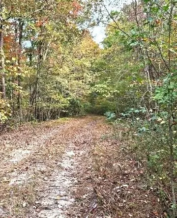 0 Fruit Farm Road, Summerville, GA 30747