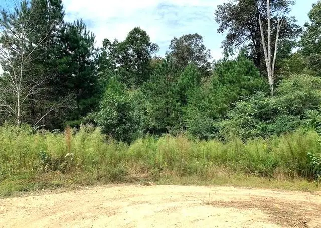 0 Fruit Farm Road, Summerville, GA 30747 - #3