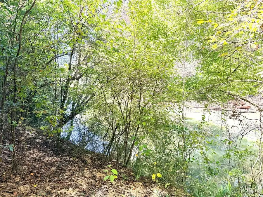 0 Towaliga South Road, Jackson, GA 30233 - #3