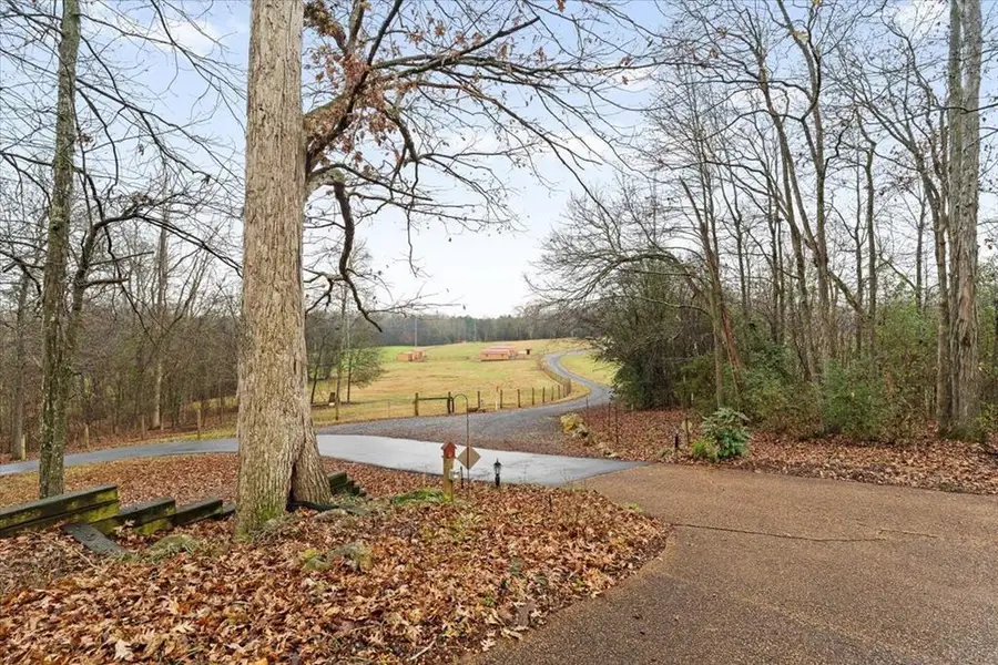 3922 Highway 2, Cohutta, GA 30710 - Image #3