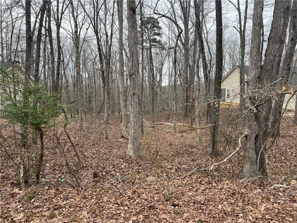 3254 Greenhill Court, Villa Rica, GA 30180 - #1