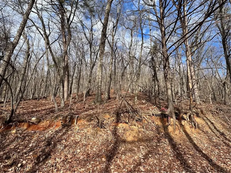 0 Sassafras Mountain Trail, Jasper, GA 30143 - Image #2
