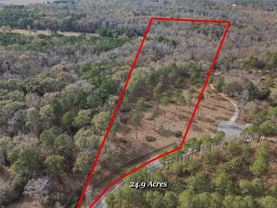 350 Lee Paul Road, Hawkinsville, GA 31036 - Image #3
