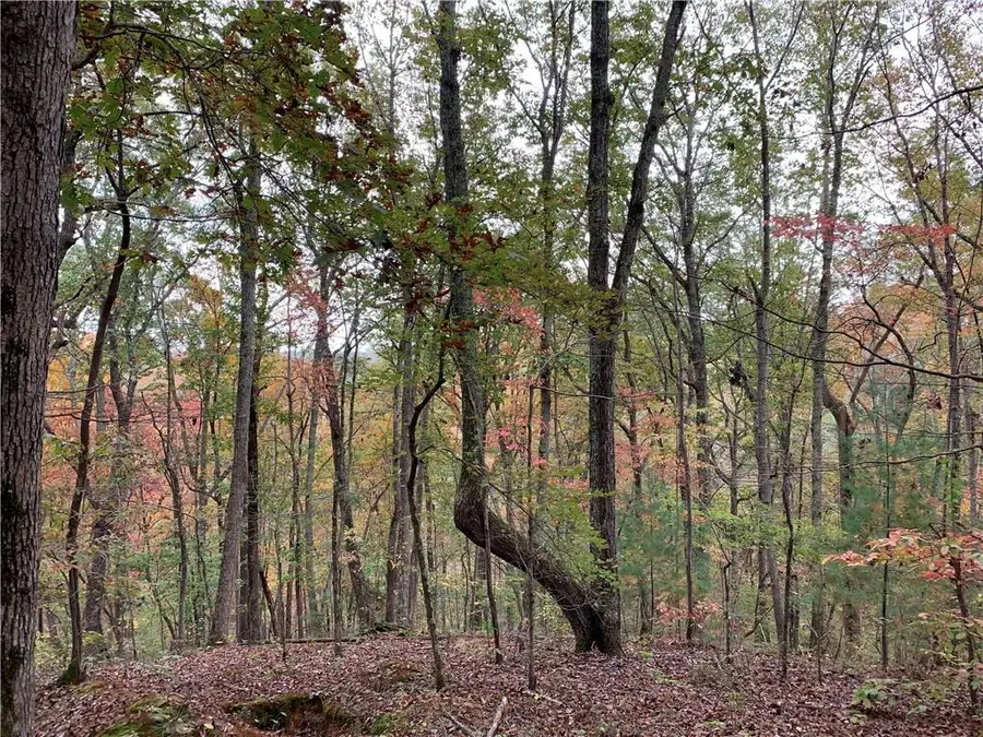 128 Adair Drive, Ranger, GA 30734 - Image #2