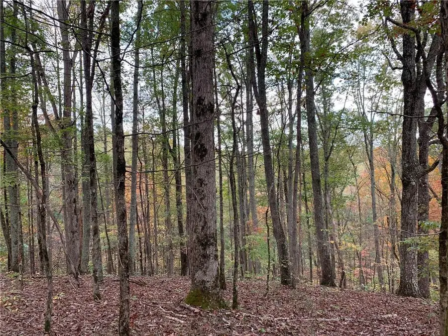 128 Adair Drive, Ranger, GA 30734 - Image #3