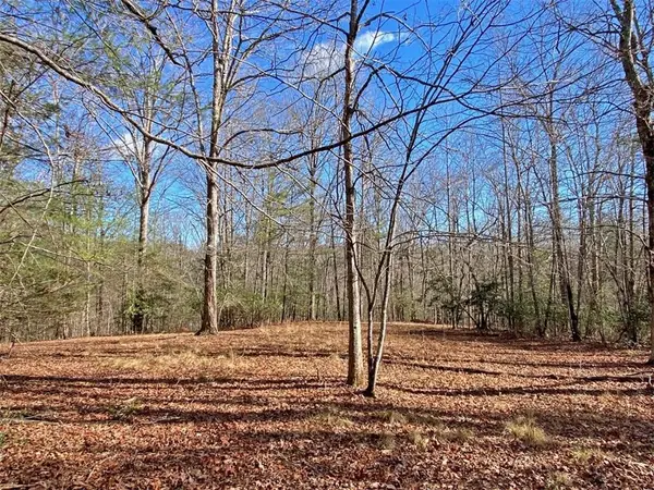 17.8ac Frogtown Road, Dahlonega, GA 30533