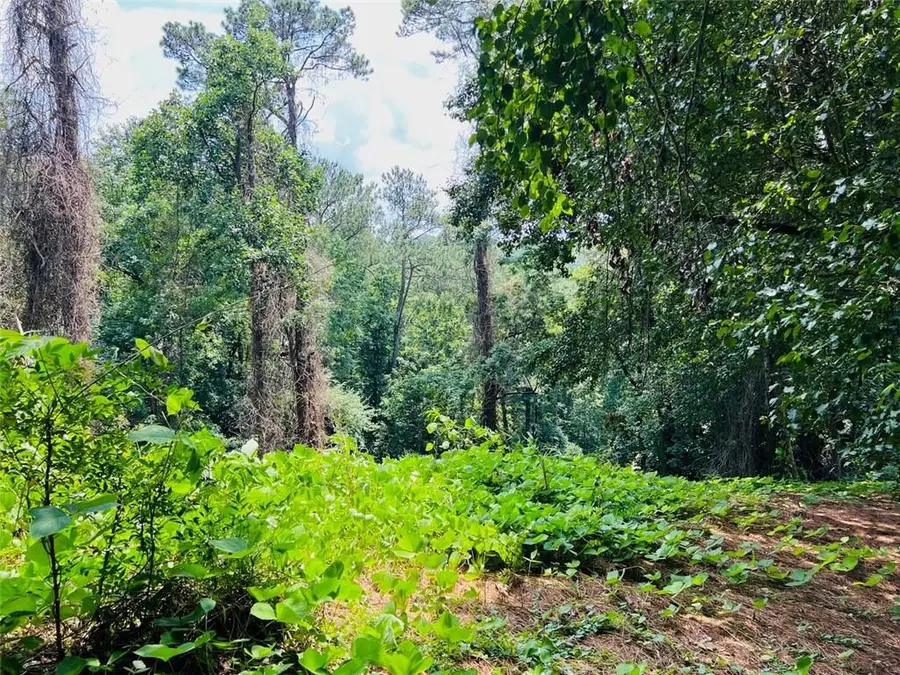 Lot 6 N Riverside Circle, Sandy Springs, GA 30328 - #3